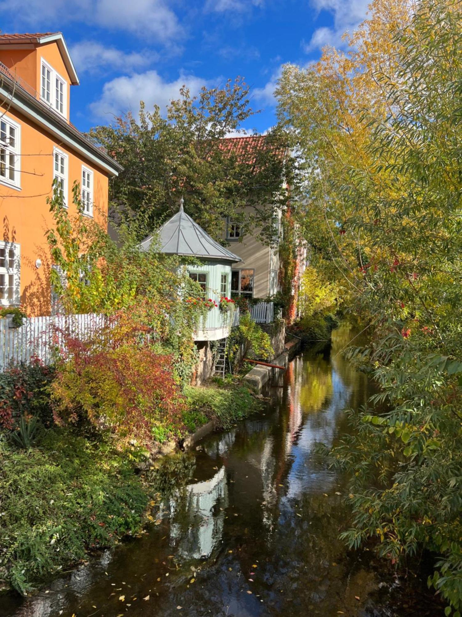 Ferienwohnung Schildblick Modernes Apartment Direkt In Der Altstadt Von Erfurt Nahe Der Kraemerbruecke - Beste Innenstadtlage מראה חיצוני תמונה